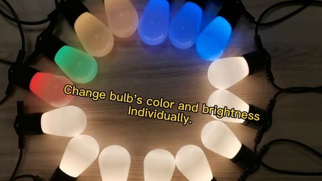outdoor smart LED lights string, IP65 water proof смотреть онлайн