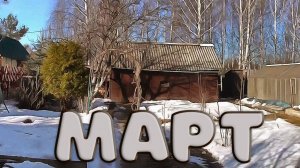 Март 2025 год