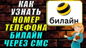 Как узнать номер телефона билайн через смс