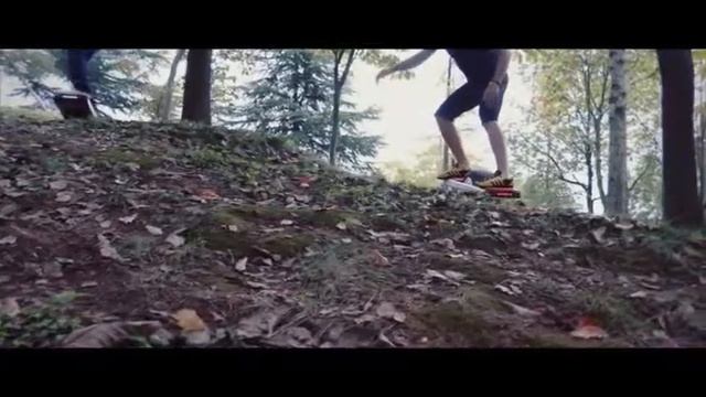 Trotter смотреть онлайн