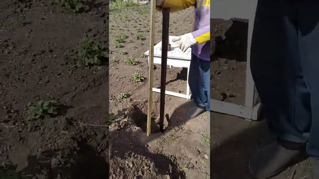 Вот и лето.Новый забор. смотреть онлайн