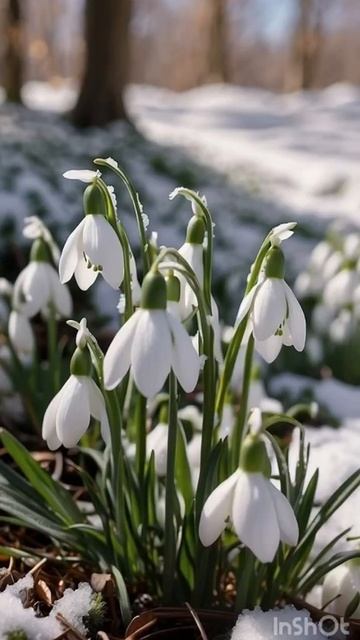 Времена года