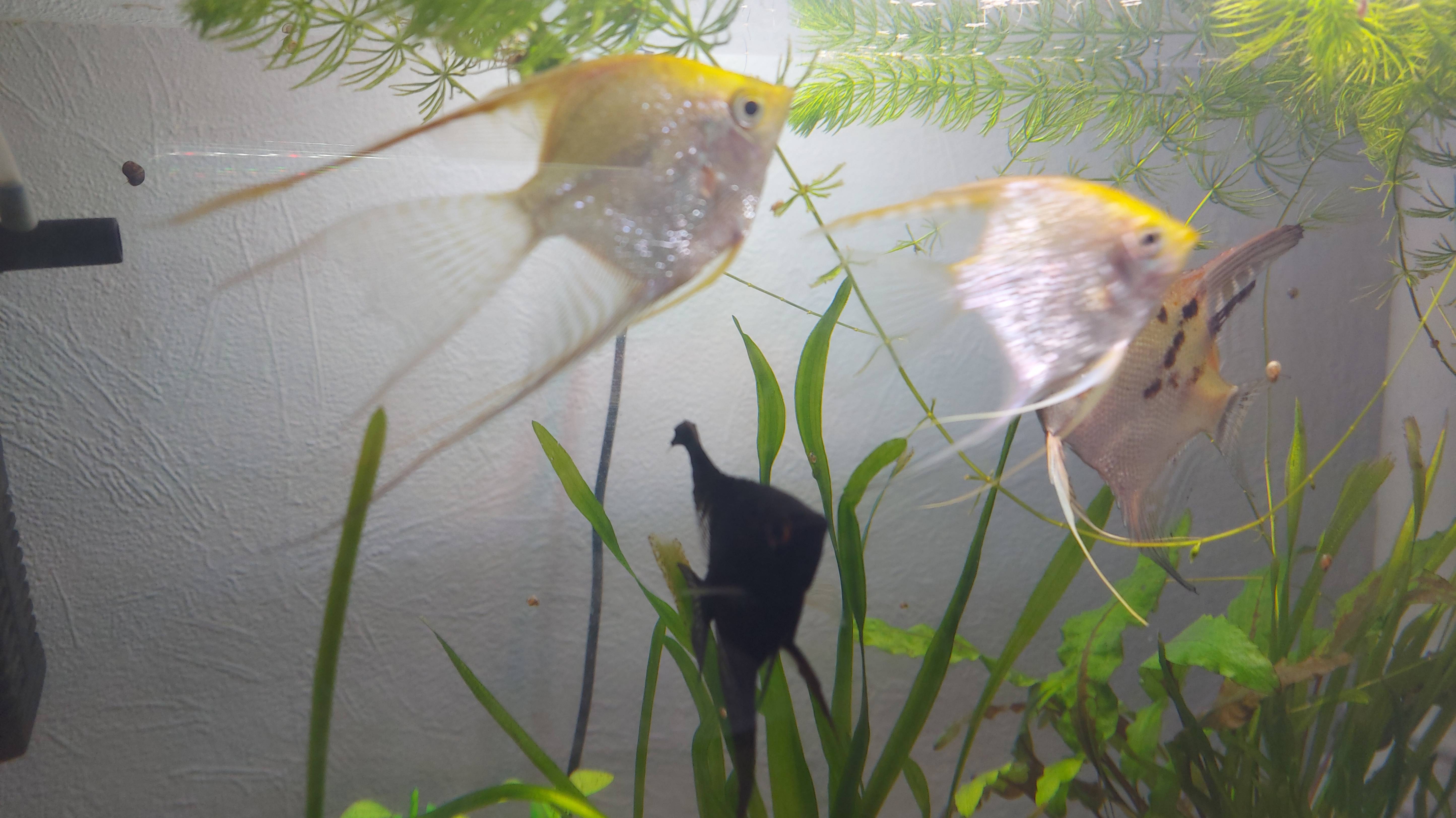 Ну, вот и еще одна неделя прошла. Адаптируюсь. У нас мороз. смотреть онлайн