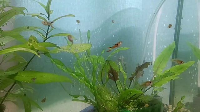 Всё ещё работаю. Как дети отдохнули в Сочи. смотреть онлайн