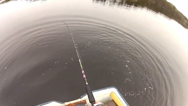 Gädda 10,8 kg med Hugg på Film | Team Galant смотреть онлайн