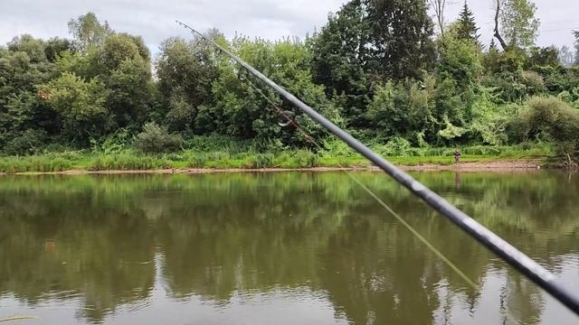 21 августа 22 года; моя самая выгодная рыбалка в жизни; #strikepro смотреть онлайн