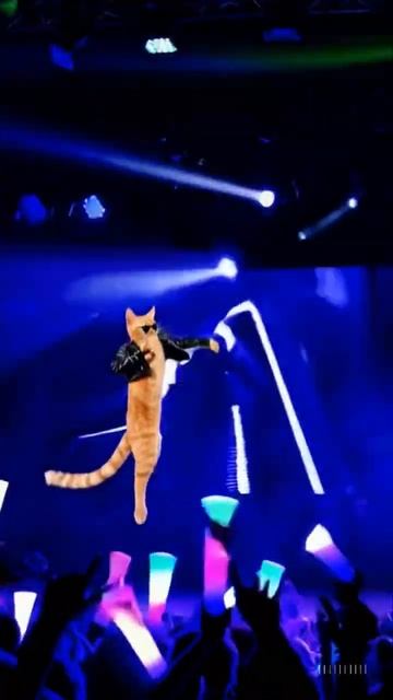 Rockstar Cat Dance. смотреть онлайн