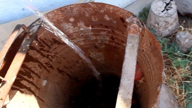 КАЛИФОРНИЯЛЫҚ ШЫЛАУШЫНДАРҒА🐛ТАҒАМ 🌽🍅ҚАЛДЫҚТАРЫН БЕРУДІ БАСТАДЫҚ💪. ҚАЛАЙ БОЛЫП ЖАТЫР🤔? КӨРІҢІЗ😎 смотреть онлайн