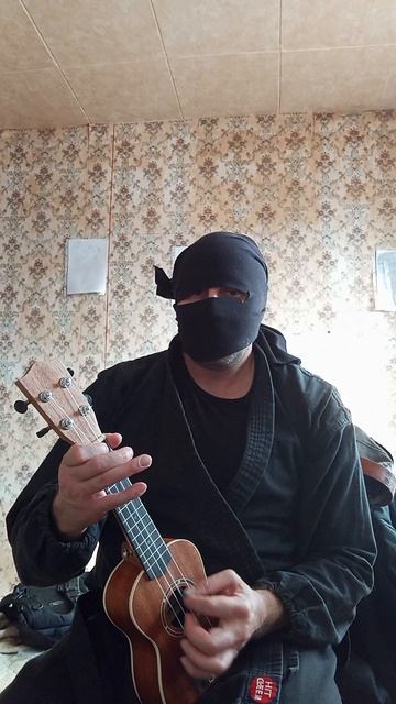 Крайне Северный Ниндзя: Фр! (02.04.2025) Very Nordic Ninja: Fr! #VeryNordicNinjaUkuleleRiffArts