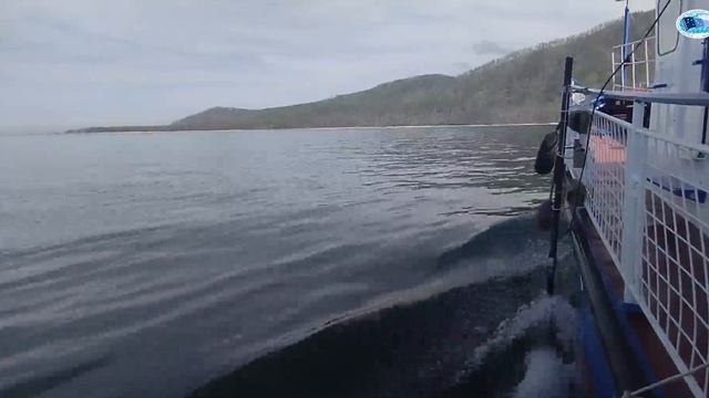 Байкалниро 2025 смотреть онлайн