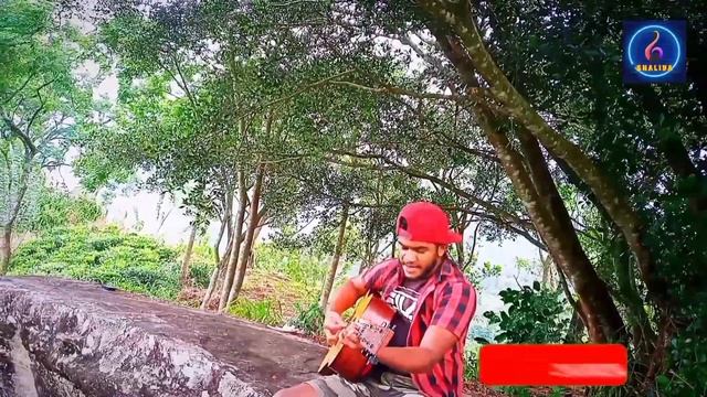 Wahi Pabalu Sali | වැහි පබළු සැලී | cover song Shali Shalom смотреть онлайн