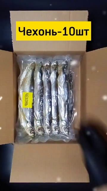 Астраханская рыба|Ссылки в шапке канала 👇 #вобла #чехонь #лещ #россия #беларусь #кпиву #вкусно #рыб смотреть онлайн