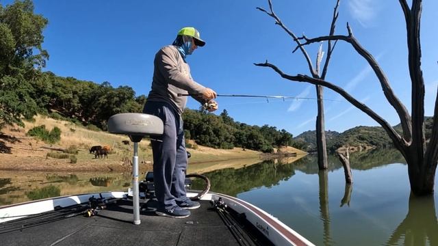 Lake Sonoma Bass Fishing 6-3-2023 смотреть онлайн