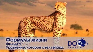 Формулы жизни - Часть 1.Уравнение, которое съел гепард - Документальный фильм