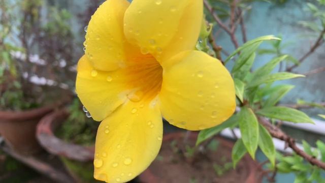 4k video with iphone XR смотреть онлайн