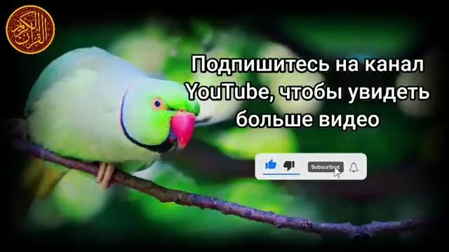 Утренние Дуа , Дуа на каждый день смотреть онлайн