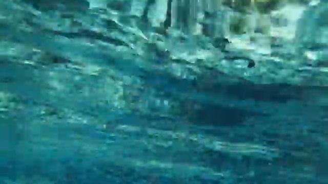 marsa alam triton sea beach resort diving смотреть онлайн