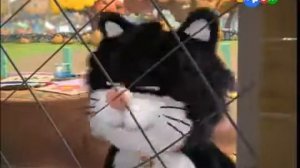 1  Загадки Джесса  Как нам согреться