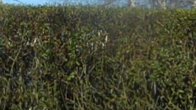 an extremely slow moving ufo смотреть онлайн