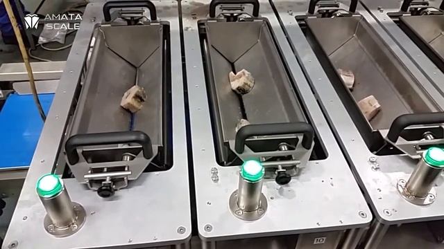 Линейный весовой Полуавтоматический комбинационный дозатор BERTHA 116 L фасовочно упаковочное обор смотреть онлайн