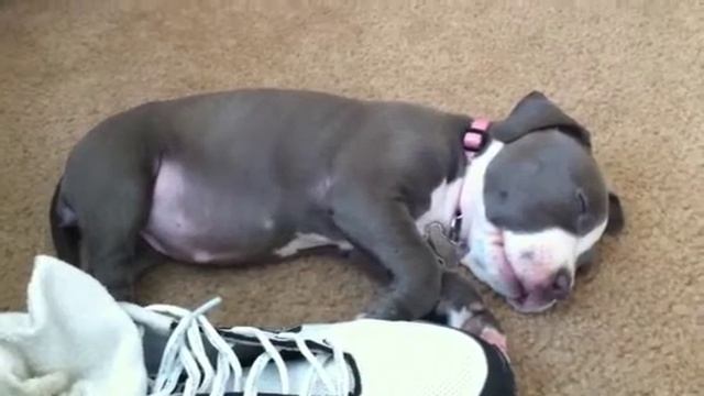 Sent from my iPhone смотреть онлайн