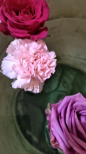 beautiful flowers#beautiful colors#shortsvideo смотреть онлайн