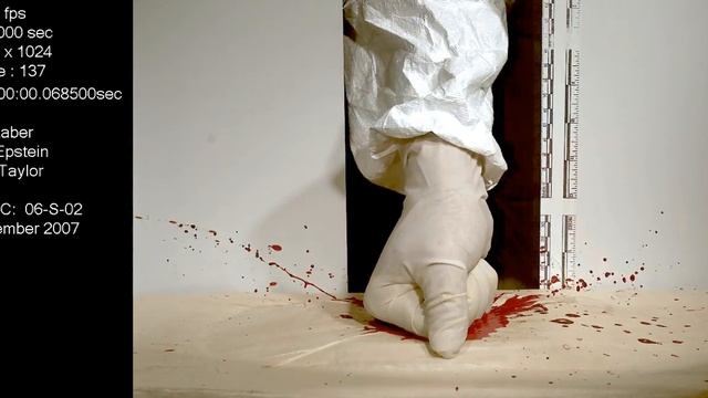 Impact-fist to blood placed on tape covered sponge | Blood Spatter Analysis смотреть онлайн