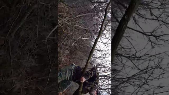 Подснежники в посадке . Джип выходные на Телегульском дома не. смотреть онлайн