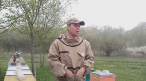 Когда и как расширять гнезда пчёл