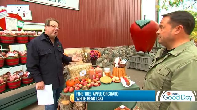 Planning an Apple Picking Adventure | Garden Guy Dale смотреть онлайн
