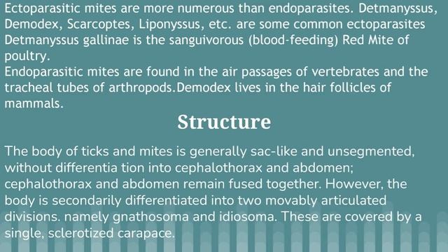 sub class acari (ticks & mites) смотреть онлайн