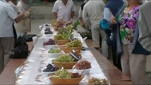 начало встречи у Капелюшного.flv смотреть онлайн