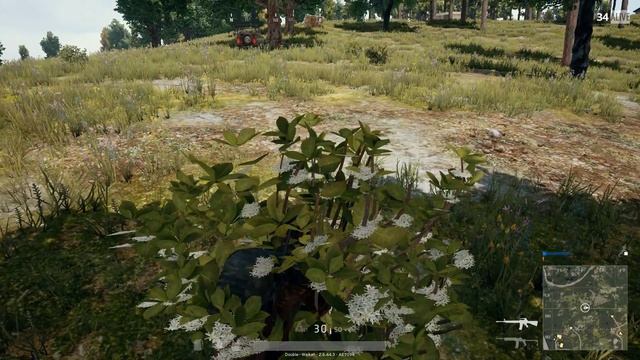 PUBG -- Sneaky Killer Game 1 -- The Bush Killer смотреть онлайн
