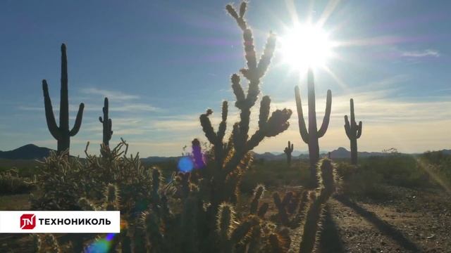 Армированная многослойная гибкая черепица ТехноНиколь ДЖАЗ смотреть онлайн