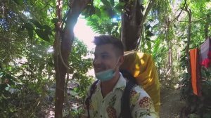 Поселился в доме на дереве  / Сафари на Шри-Ланке #путешествие #шриланка