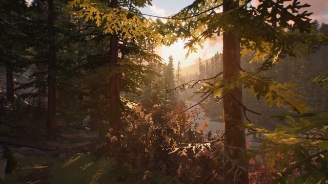 АУДИОРАССКАЗ 