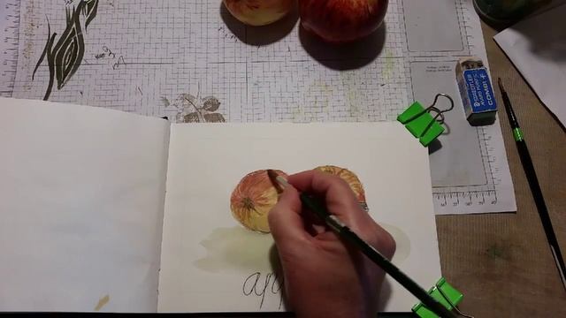 Water Colour Study Of Apples In Time Lapse