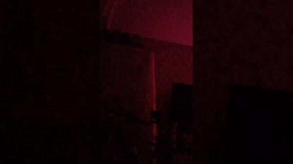 ночной стрим