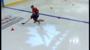 Школа канадского хоккея 2 Владение шайбой