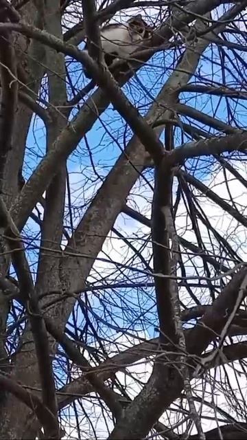 Обзорная Люська смотреть онлайн