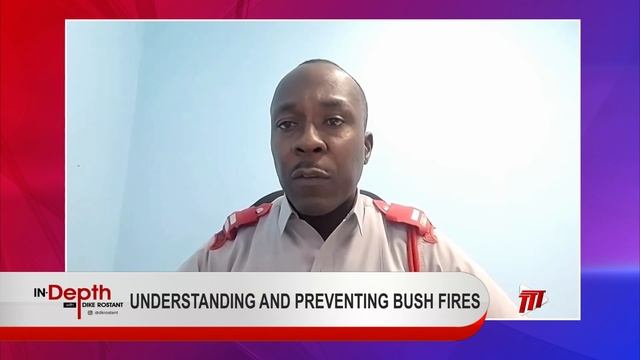 In Depth With Dike Rostant - Understanding And Preventing Bush Fires смотреть онлайн