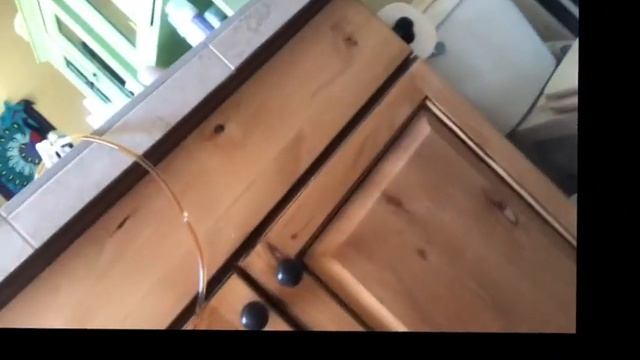 How to do a coffee enema смотреть онлайн