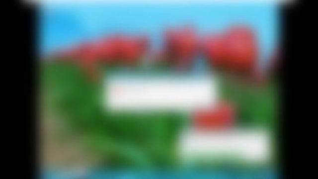 [채진우] Windows 8 Release Preview 설치 & 날리기 смотреть онлайн