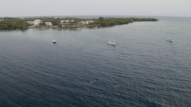The Story of Lincoln Westby: Building The Best Permit Fishing in Belize | Blue Horizon Lodge смотреть онлайн