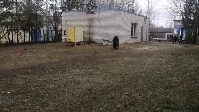 4.  выражено/пож РОДГАУ ГРЕЙВХОЛЛА (Лекс 3675073 – Oliris Land Zadira)