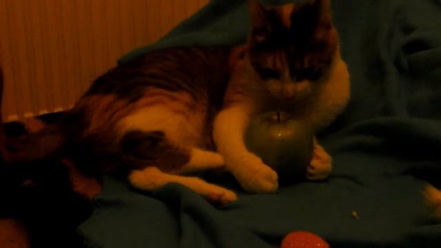 lex the cat vs green apple смотреть онлайн