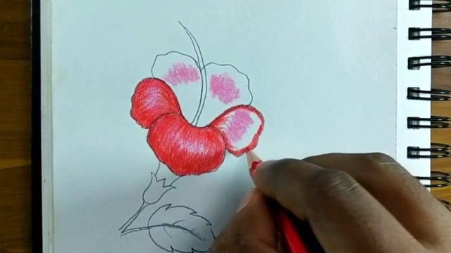#howto#draw How to draw china rose|How to draw Hibiscus flower|How to draw Chembarathi|Easy UB Art смотреть онлайн
