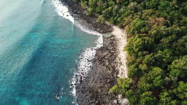 Тест рекламы Ad Hoc