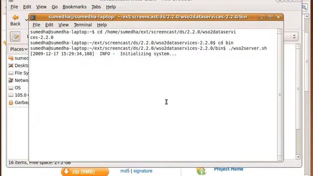 how to run WSO2 Data Services 2.2.0? смотреть онлайн