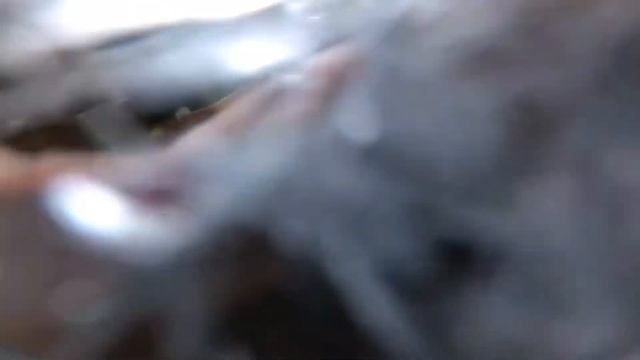 Боевые потери камеры